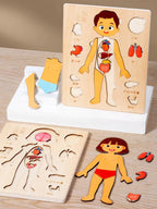 Corpo Curioso – Quebra-Cabeça Montessori do Corpo Humano