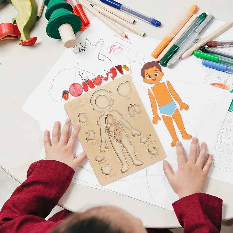 Corpo Curioso – Quebra-Cabeça Montessori do Corpo Humano