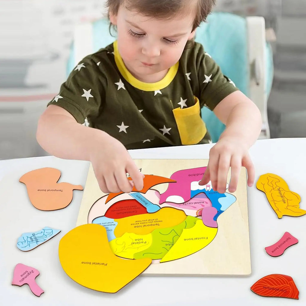 Corpo Curioso – Quebra-Cabeça Montessori do Corpo Humano